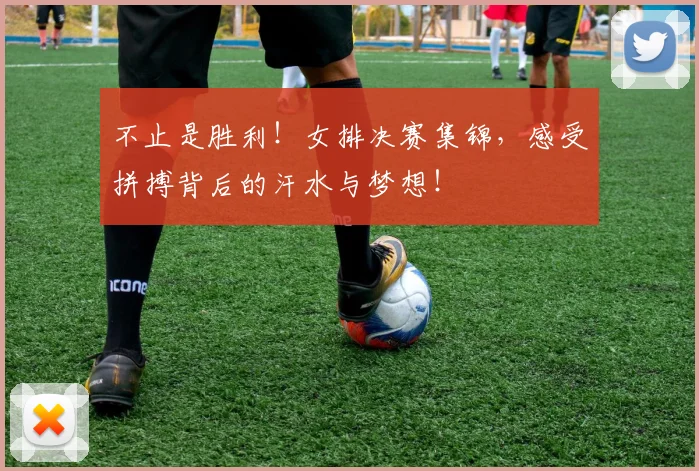 不止是胜利!女排决赛集锦,感受拼搏背后的汗水与梦想!
