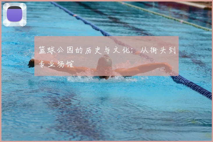 篮球公园的历史与文化：从街头到专业场馆