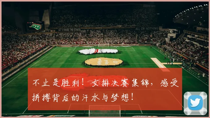 不止是胜利！女排决赛集锦，感受拼搏背后的汗水与梦想！